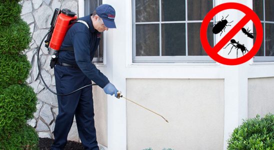 Erciş Akrep İlaçlama böcek ilaçlama ve haşere kontrolü — ilaclama-tr.com
